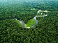 MPF pede suspensão imediata de projeto de crédito de carbono/REDD+ em Unidades de Conservação no Amazonas