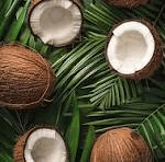 Comissão aprova sistema de coleta seletiva e logística reversa de coco verde