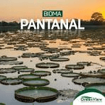 Nova lei estabelece princípios e diretrizes para a proteção e uso sustentável do Pantanal
