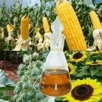 Quatro frentes parlamentares se unem para lançar Coalizão dos Biocombustíveis