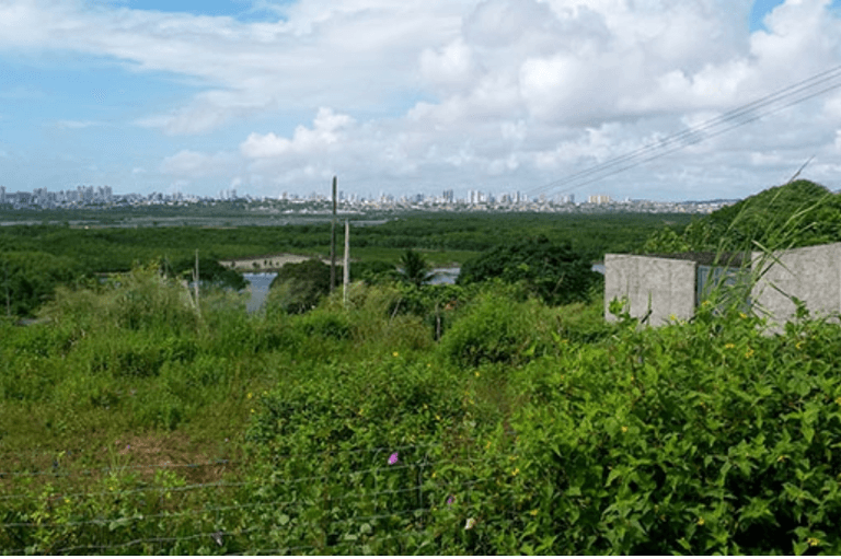 MPF obtém decisão judicial que protegerá área de mangue irregularmente ocupada em Natal (RN)